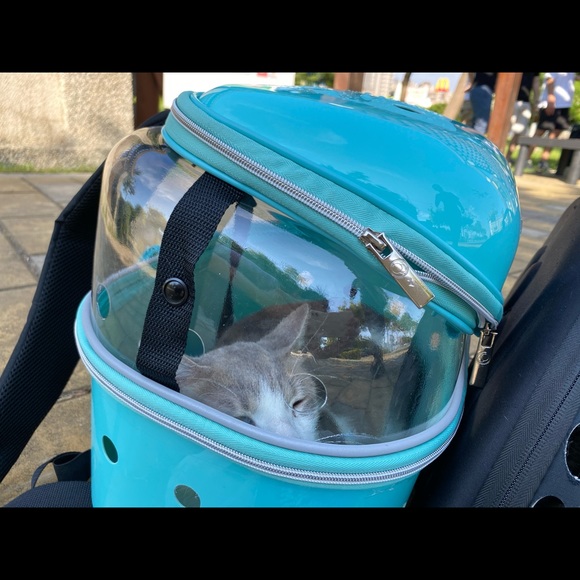 Ytonet Dog/Pet Backpack Carrier with Mesh for Small Dogs New